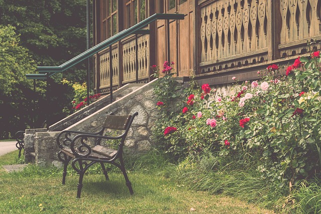 新興足球強 新興足球強