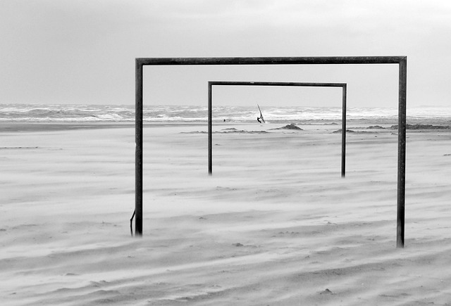 是她们团结 是她们团结