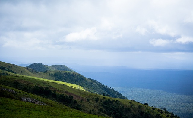 湖人与灰熊 湖人与灰熊
