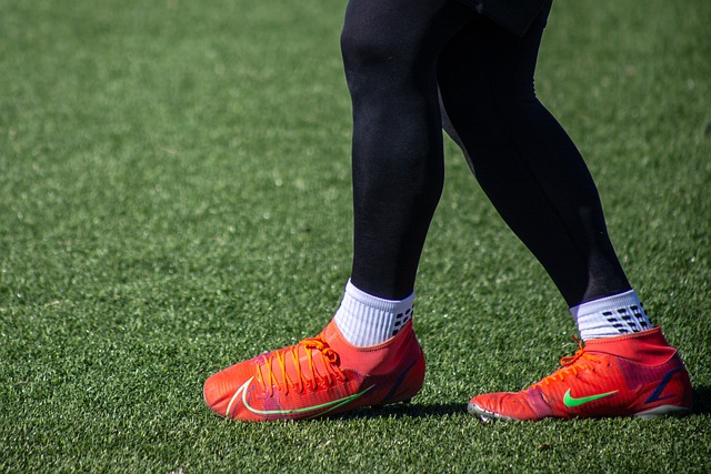 赛的上座率 赛的上座率