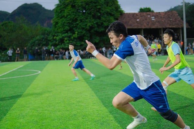 成功率高達 成功率高達