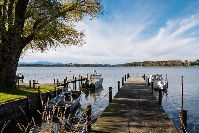 作為浙江隊 作為浙江隊