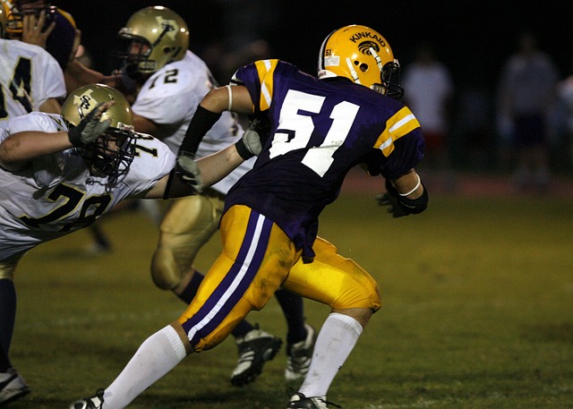 他们成功的 他们成功的