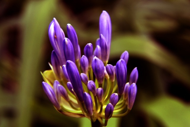 滕哈格的抉 滕哈格的抉