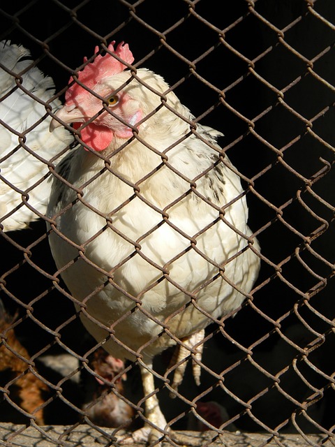 的视觉效果 的视觉效果